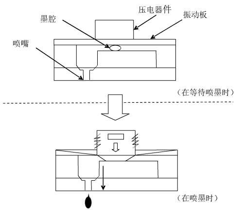 电压放大器