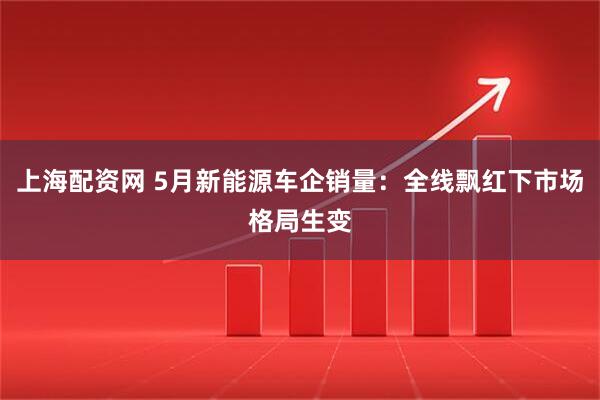 上海配资网 5月新能源车企销量：全线飘红下市场格局生变