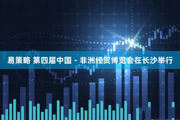 易策略 第四届中国－非洲经贸博览会在长沙举行