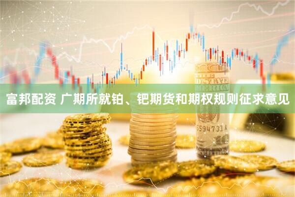 富邦配资 广期所就铂、钯期货和期权规则征求意见