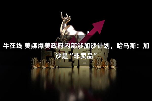 牛在线 美媒爆美政府内部涉加沙计划，哈马斯：加沙是“非卖品”