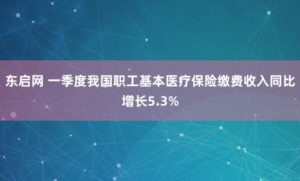 东启网 一季度我国职工基本医疗保险缴费收入同比增长5.3%