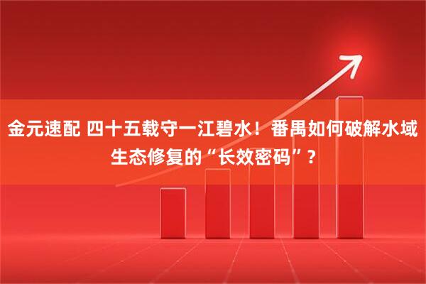 金元速配 四十五载守一江碧水!番禺如何破解水域生态修复的“长效密码”?